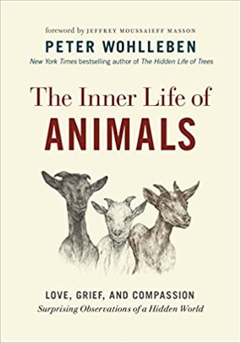 The Inner Life of Animals