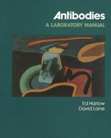 Antibodies