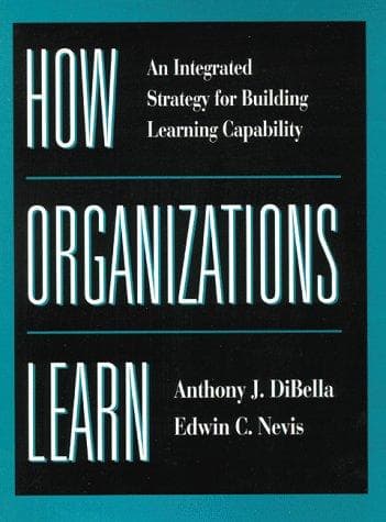 How organizations learn